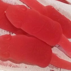 Rat rouge