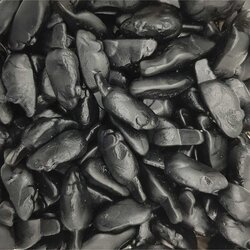 Souris noires