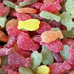 Poissons tropicaux